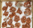 Lot: Assorted Twinned Aragonite Clusters - Pieces #134146-2